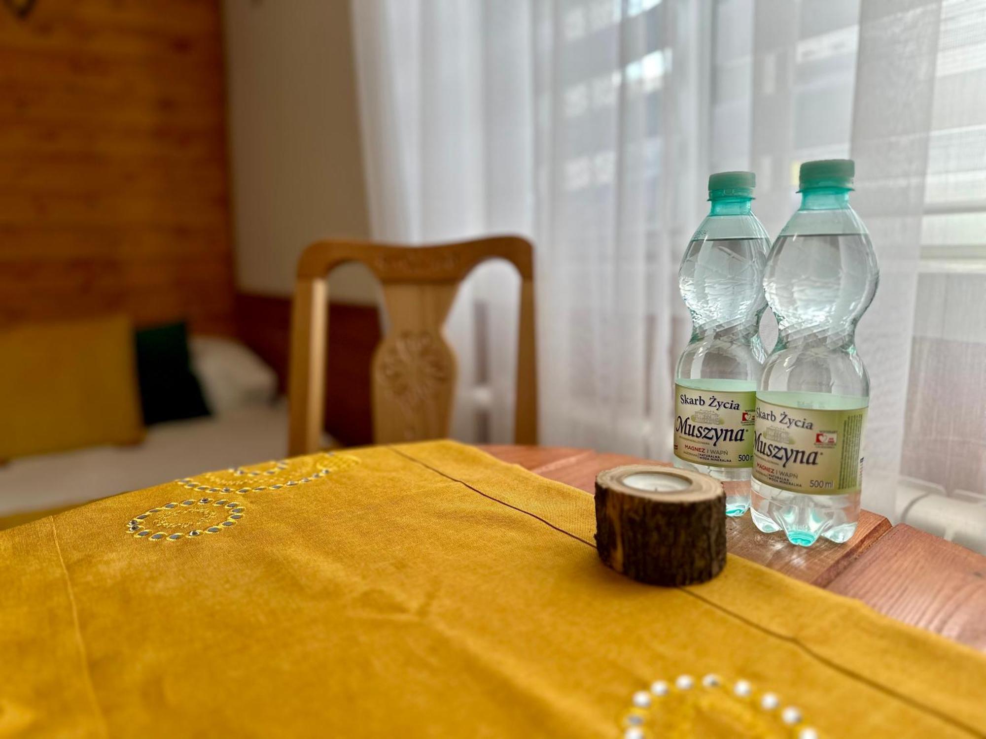 Gorska Ostoja Apartment Muszyna Ngoại thất bức ảnh
